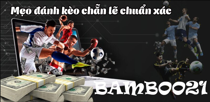 Cách bắt kèo chẳn lẻ tại nhà cái Bamboo21