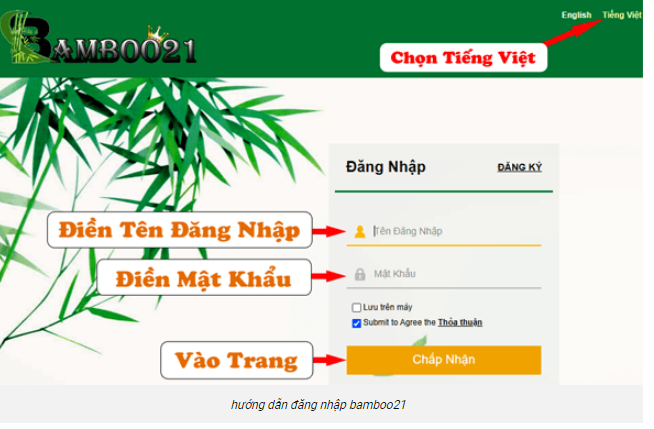 HƯỚNG DẪN CHƠI XÓC DĨA TRỰC TUYẾN BAMBOO21