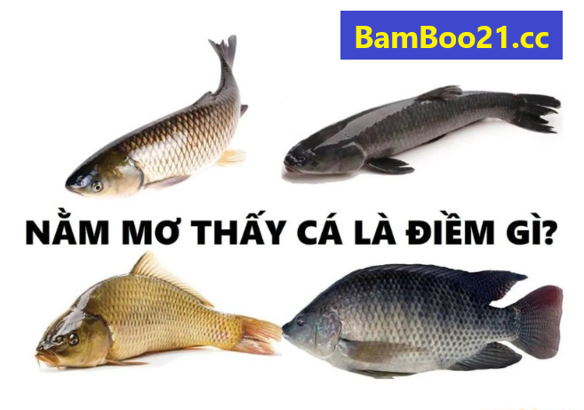 Nằm mơ thấy cá là điềm báo gì?