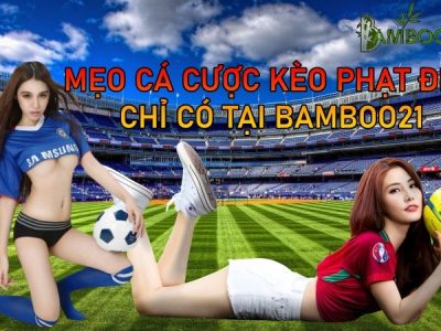 Tham Khảo Mẹo Cá Độ Phạt Đền Có Một Không Hai