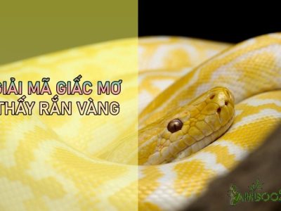 Mơ Thấy Rắn Vàng Đánh Số Mấy?