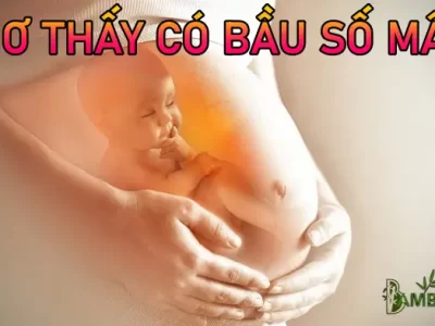 Ngủ Mơ Thấy Có Bầu Thì Nên Đánh Con Gì?