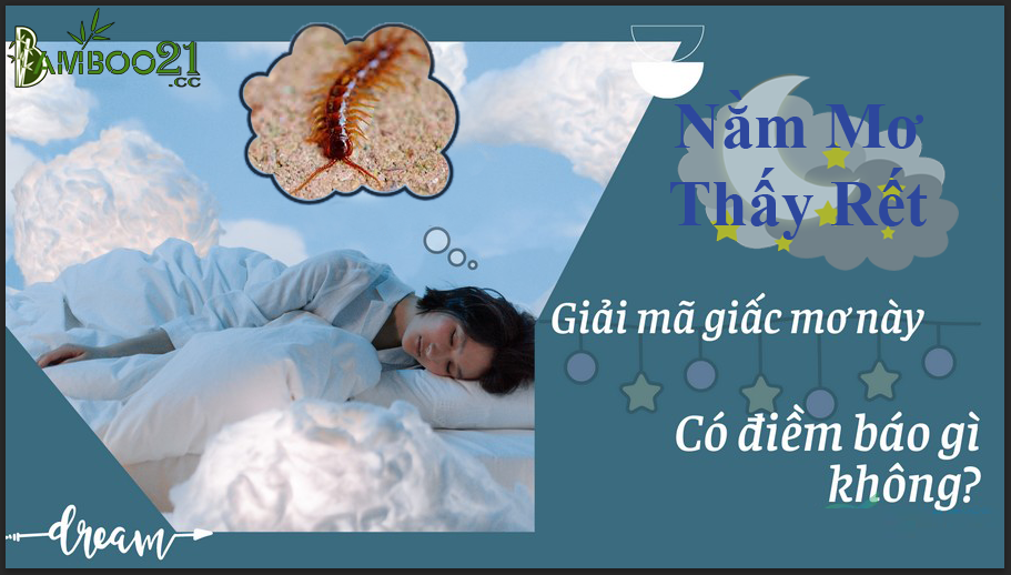 Giải mã giấc mơ thấy rết