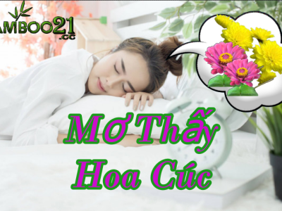 Mơ Thấy Hoa Cúc Là Điềm Báo Gì ?Đánh Số Mấy ?