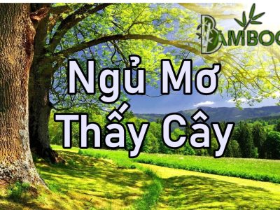 Ngủ mơ thấy cây là điềm gì ?đánh số gì