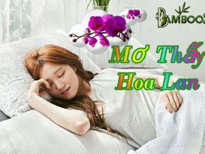 Giấc Mơ Thấy Hoa Lan Và Đánh Số Mấy?