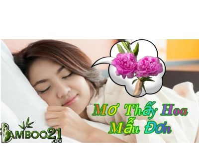 Nằm mơ thấy hoa mẫu đơn có ý nghĩa gì? và đánh số gì?