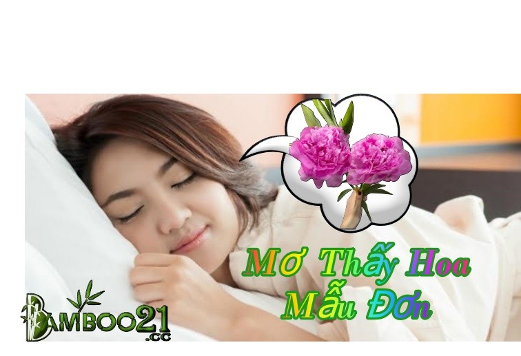 Mơ thấy hoa mẫu đơn