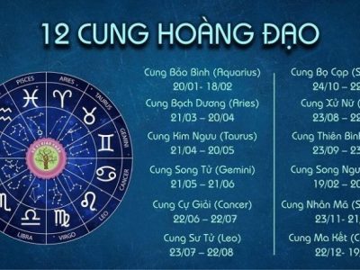 Tử vi 12 cung hoàng đạo 29/11: Bảo Bình, Song Ngư thăng tiến không ngừng