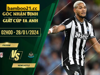 Soi kèo Fulham Vs Newcastle