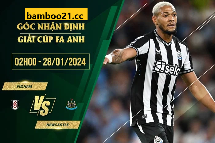 Soi kèo Fulham Vs Newcastle