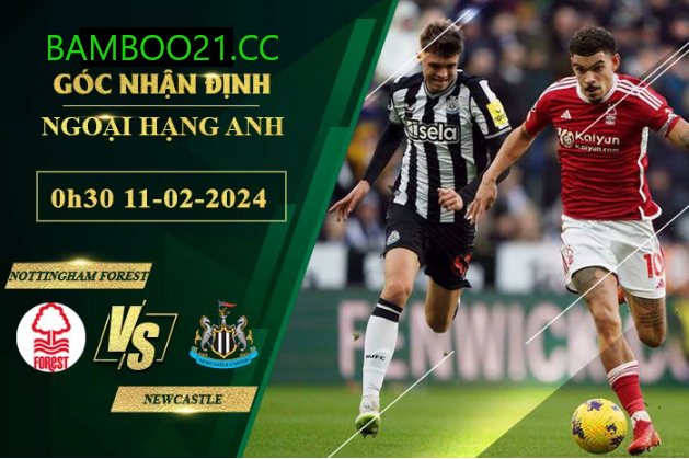 Nottingham Forest Với Newcastle