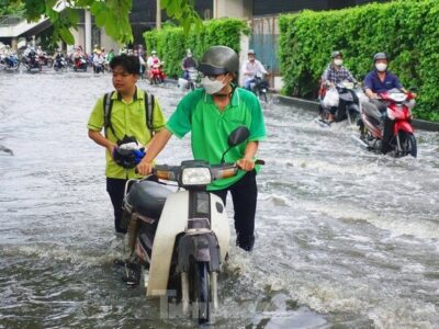 Nam Bộ đón Tết trong thời tiết rất bất lợi