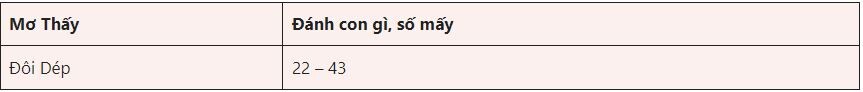 Mơ thấy đôi dép đánh con gi ?