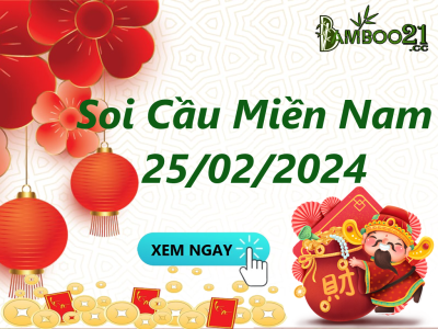 Soi Cầu XSMN 25/02/2024