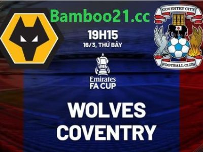 Nhận Định Soi Kèo Wolves Vs Coventry, 19h15 Ngày 16/3/2024