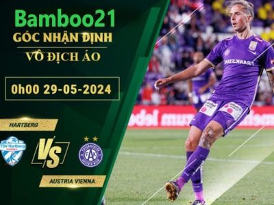 Nhận Định Soi Kèo Hartberg Vs Austria Vienna, 0h00 Ngày 29/5/2024