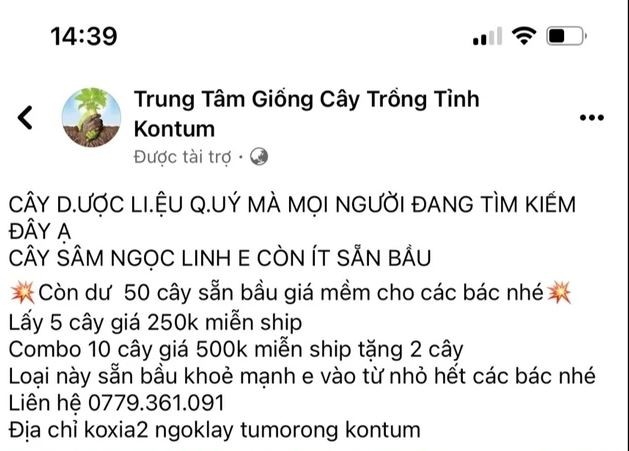 Bài đăng rao bán sâm Ngọc Linh giả trên mạng xã hội