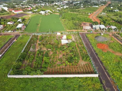 Thanh tra Chính phủ: Nhiều sai phạm về đất đai tại Gia Lai