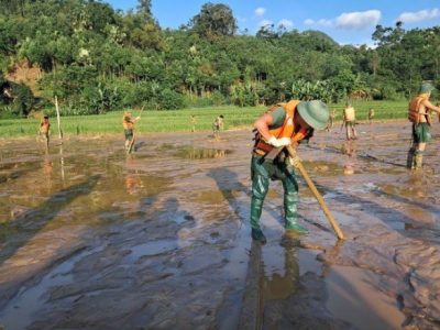 Hơn 1.000 tỷ đồng ủng hộ khắc phục bão lụt qua Mặt trận Tổ quốc Việt Nam