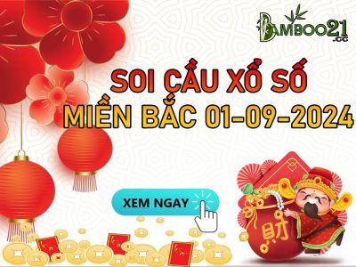 DỰ ĐOÁN SOI CẦU XỔ SỐ MIỀN BẮC NGÀY 01-09-2024