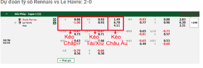 Dự đoán tỷ số Rennais vs Le Havre