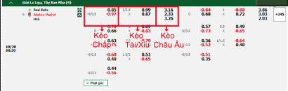 Kèo chấp: Atletico Madrid chấp 0/0.5