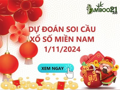 Soi Cầu XSMN 1/11/2024