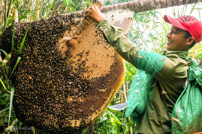 Tháng 11 âm lịch là thời điểm phải dọn kèo đồng loạt để đón mùa mật ong lớn nhất năm.